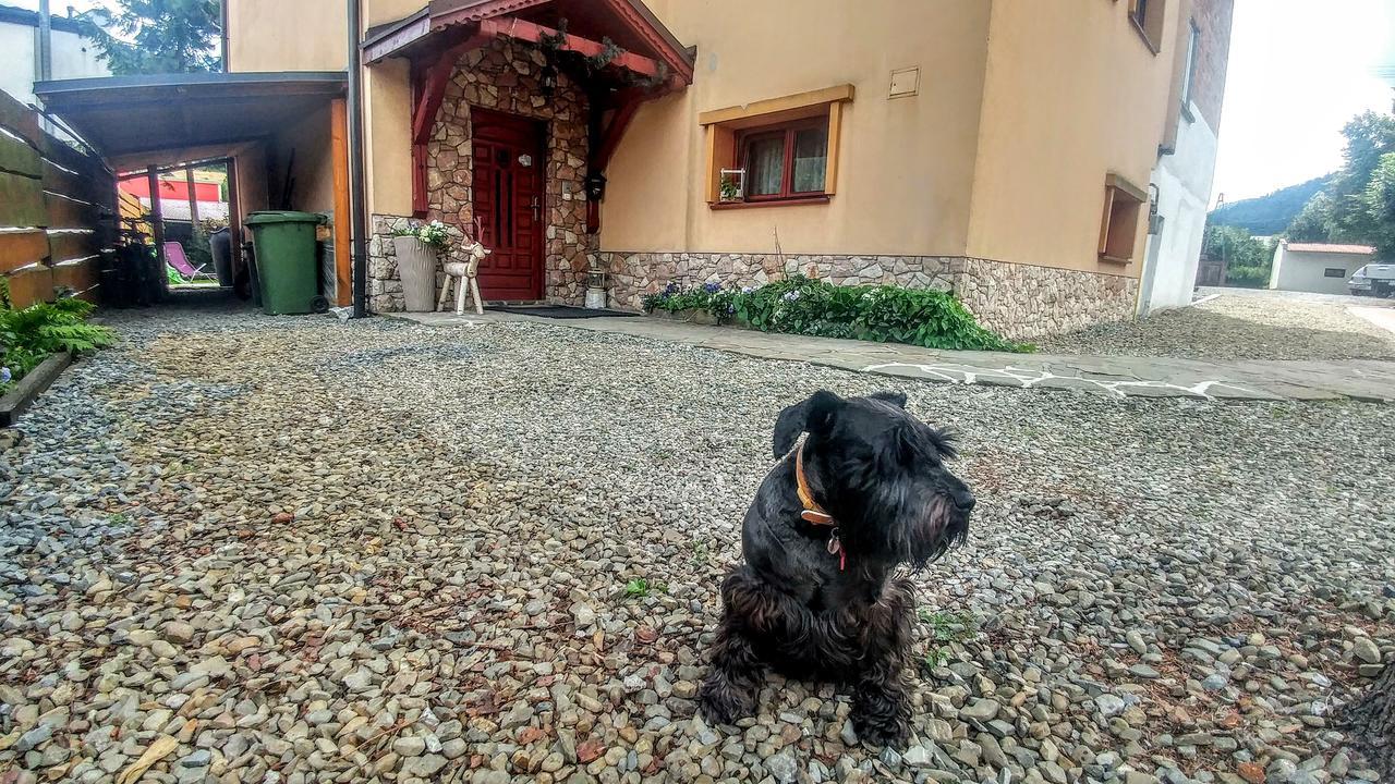 Pod Klimczokiem I Bed & Breakfast Szczyrk Eksteriør bilde